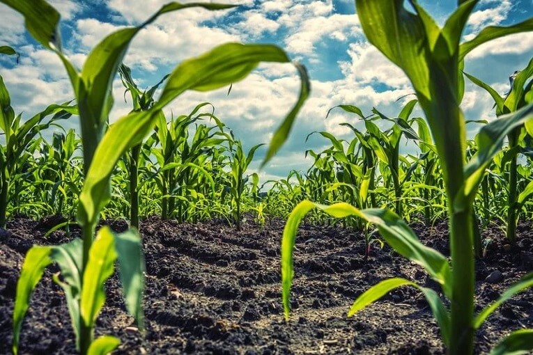 Where are we with the objective of producing 50% organic by 2020?