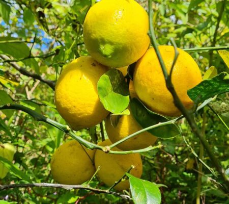 facebook_1675204317095_7026316168010372659